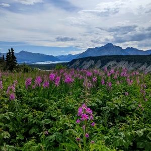 Meet your Posher, Lizzie